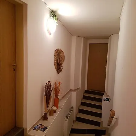 Pensionat Cisar Teplice